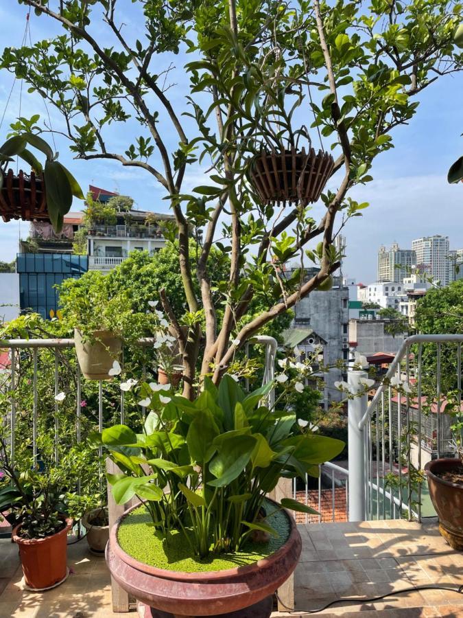 May Residence-800M From Opera House Hanoi Exterior foto