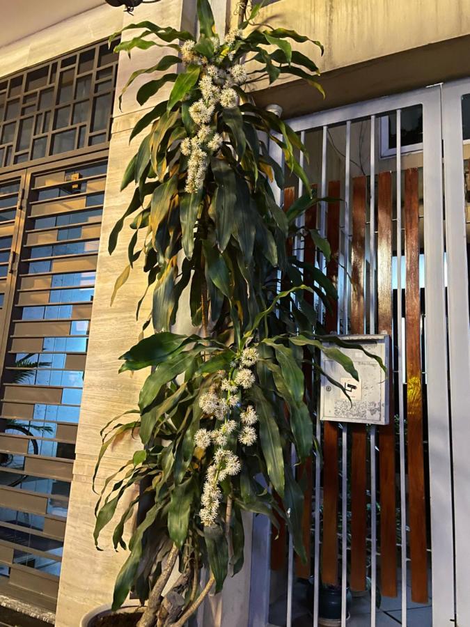 May Residence-800M From Opera House Hanoi Exterior foto