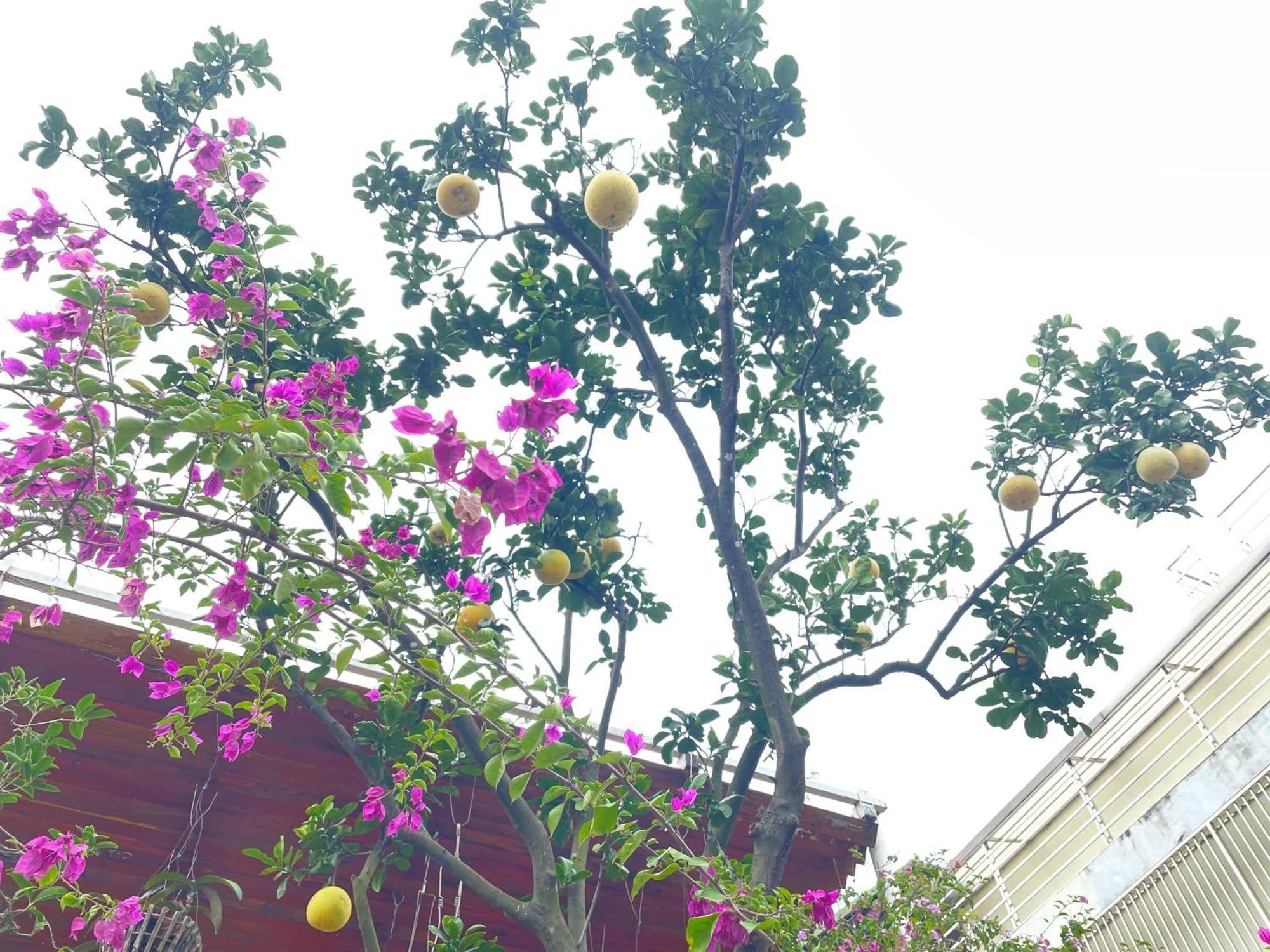 May Residence-800M From Opera House Hanoi Exterior foto